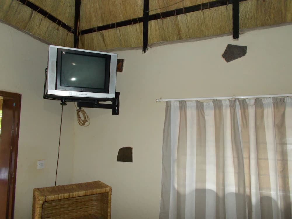 Television