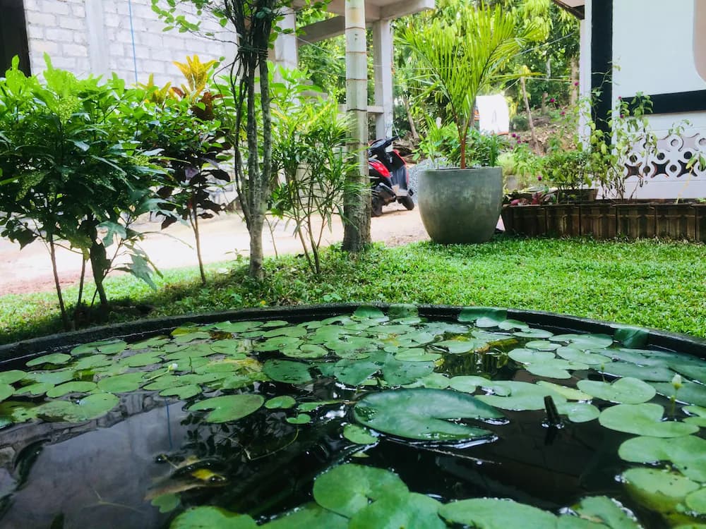 Garden view