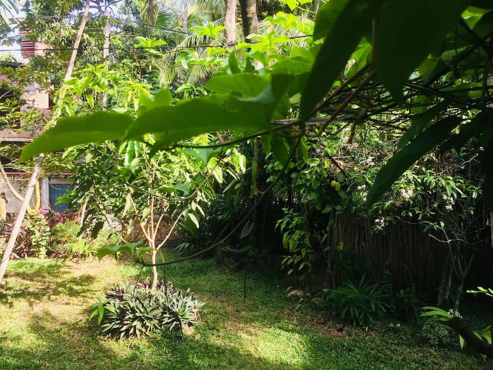Garden view
