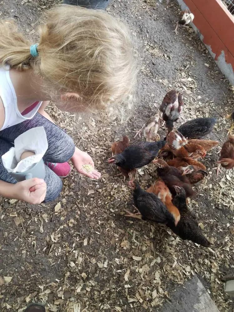 Children's activities
