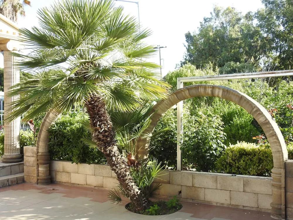Garden view