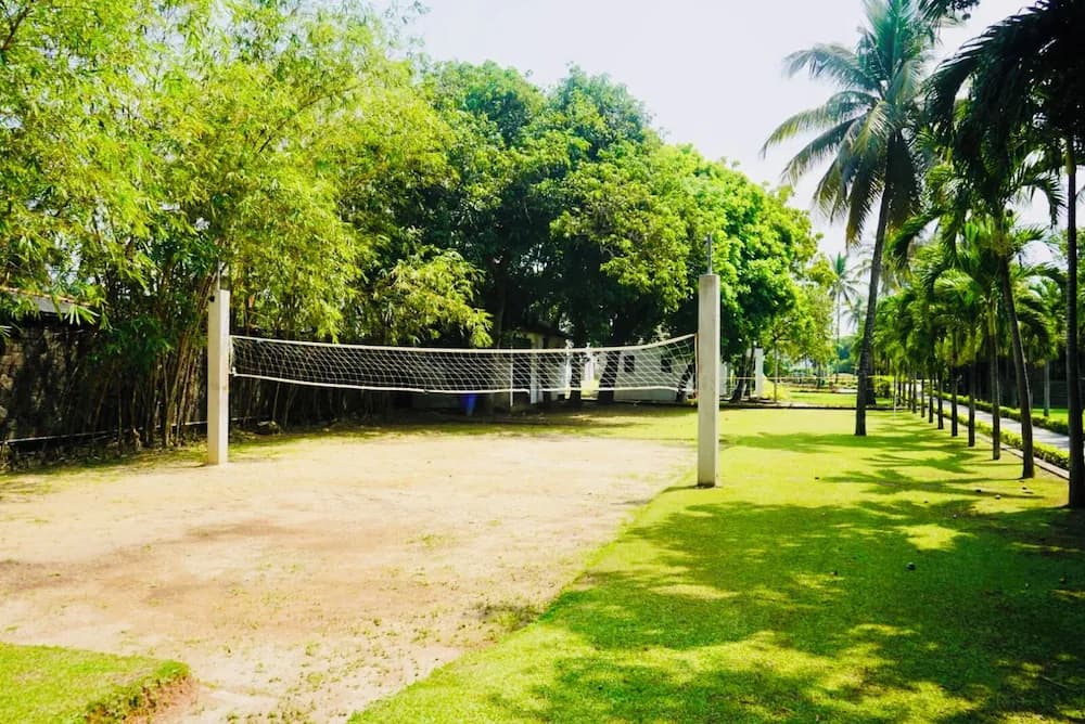 Primary image