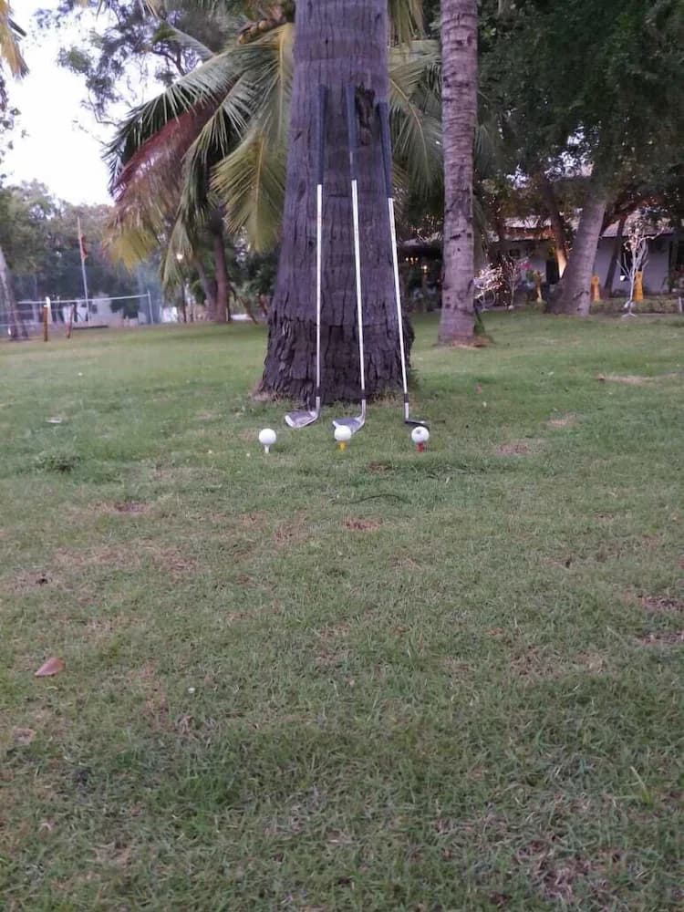 Mini-golf