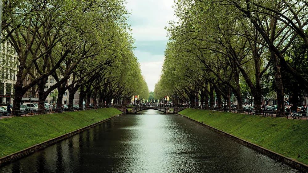 Point of interest