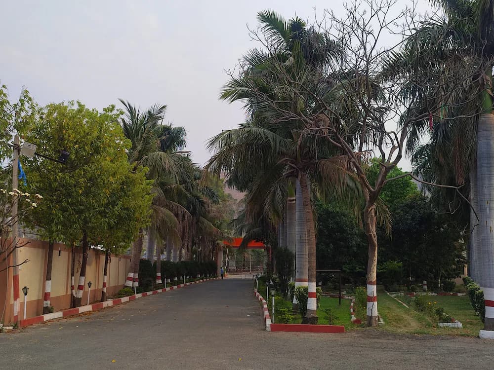 Garden view