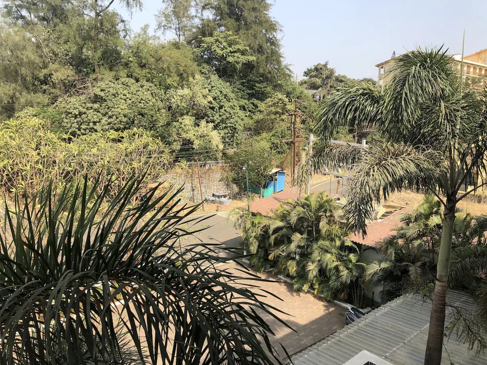 View from room