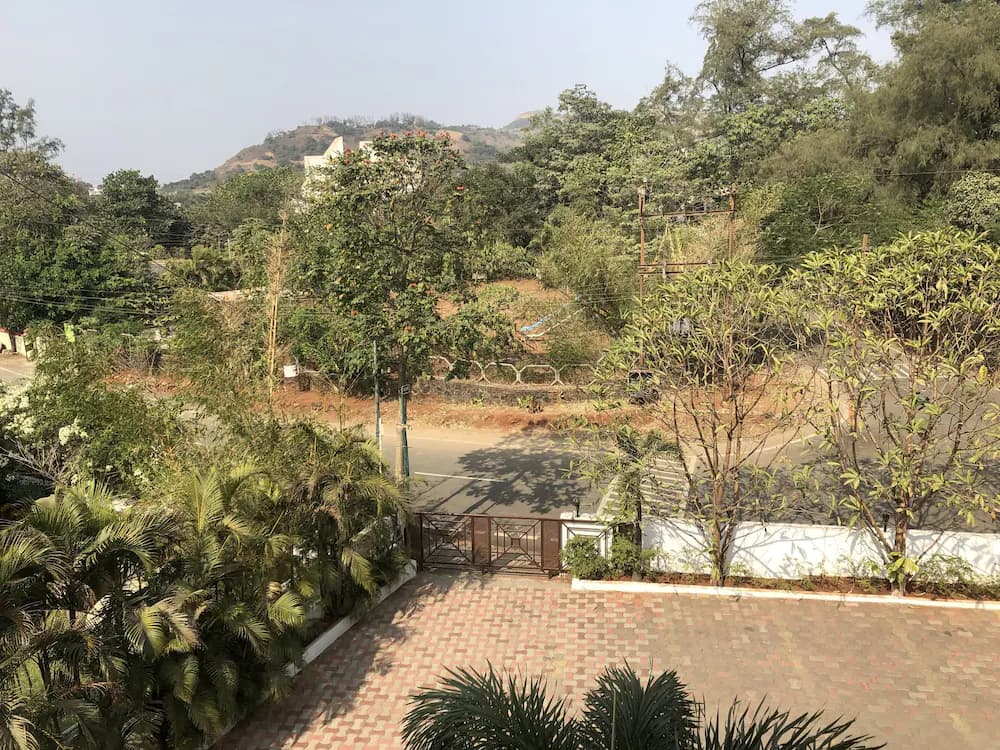 View from room