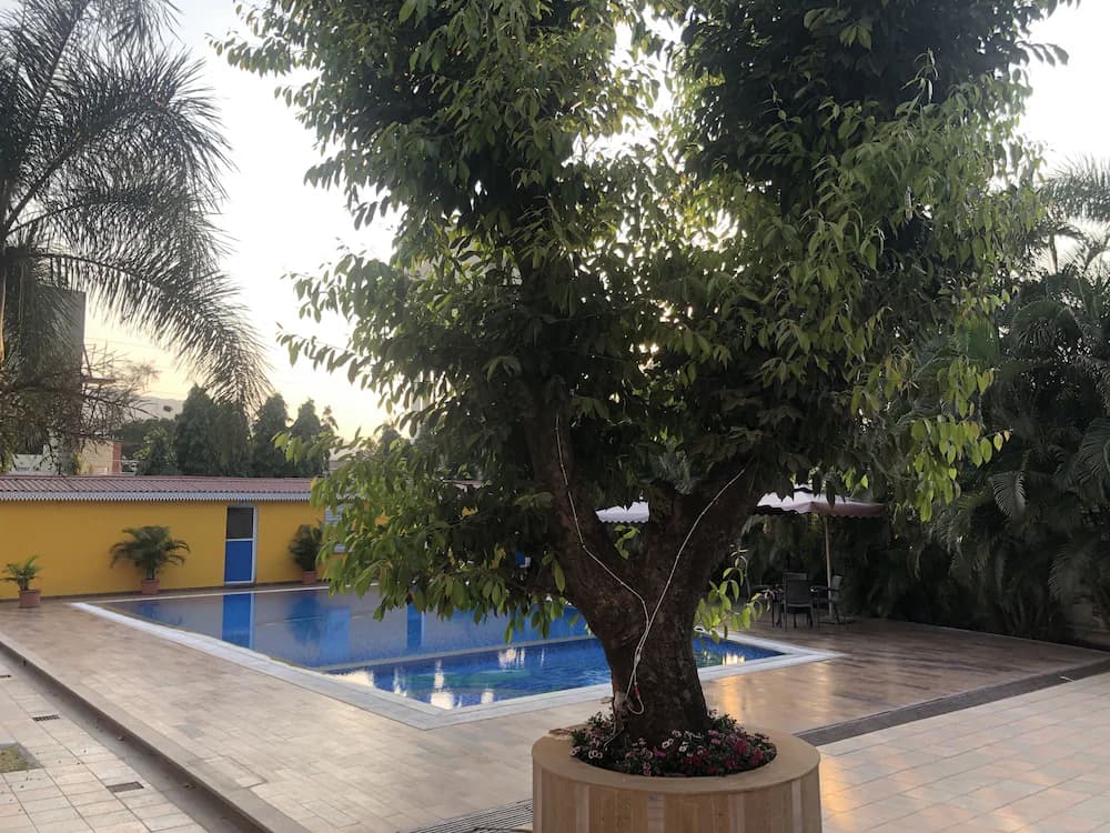 View from room