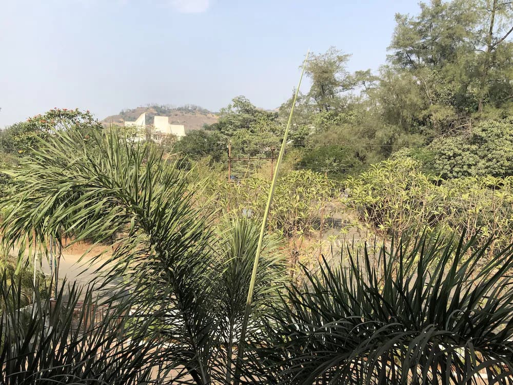 View from room