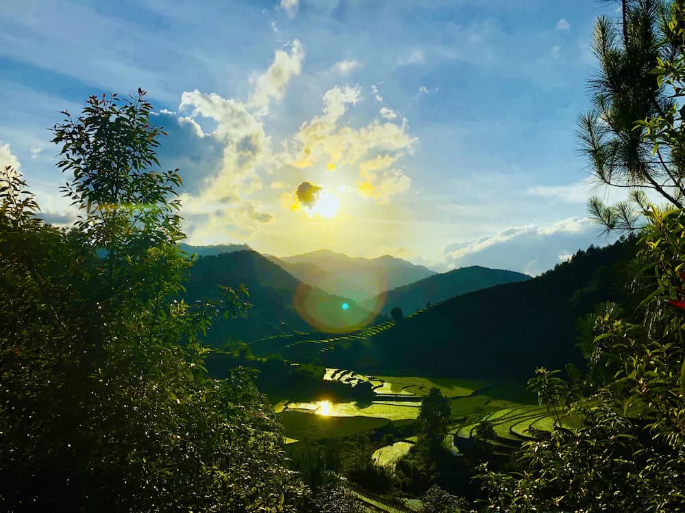 View from property