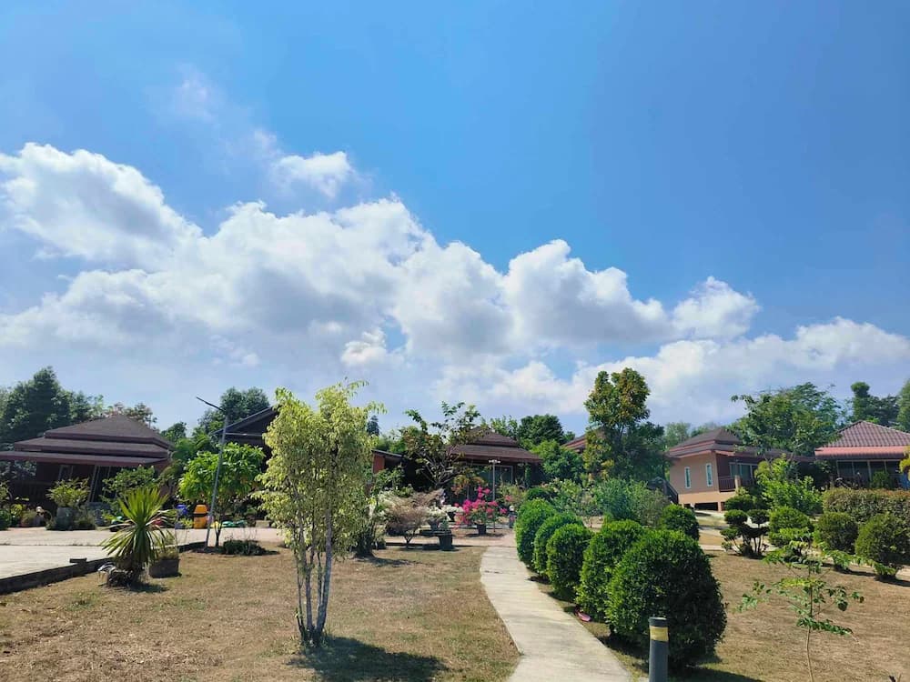 Garden view