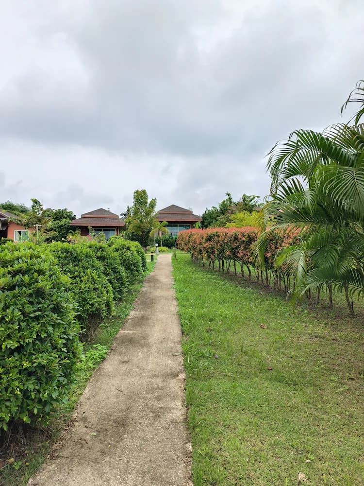 Garden view