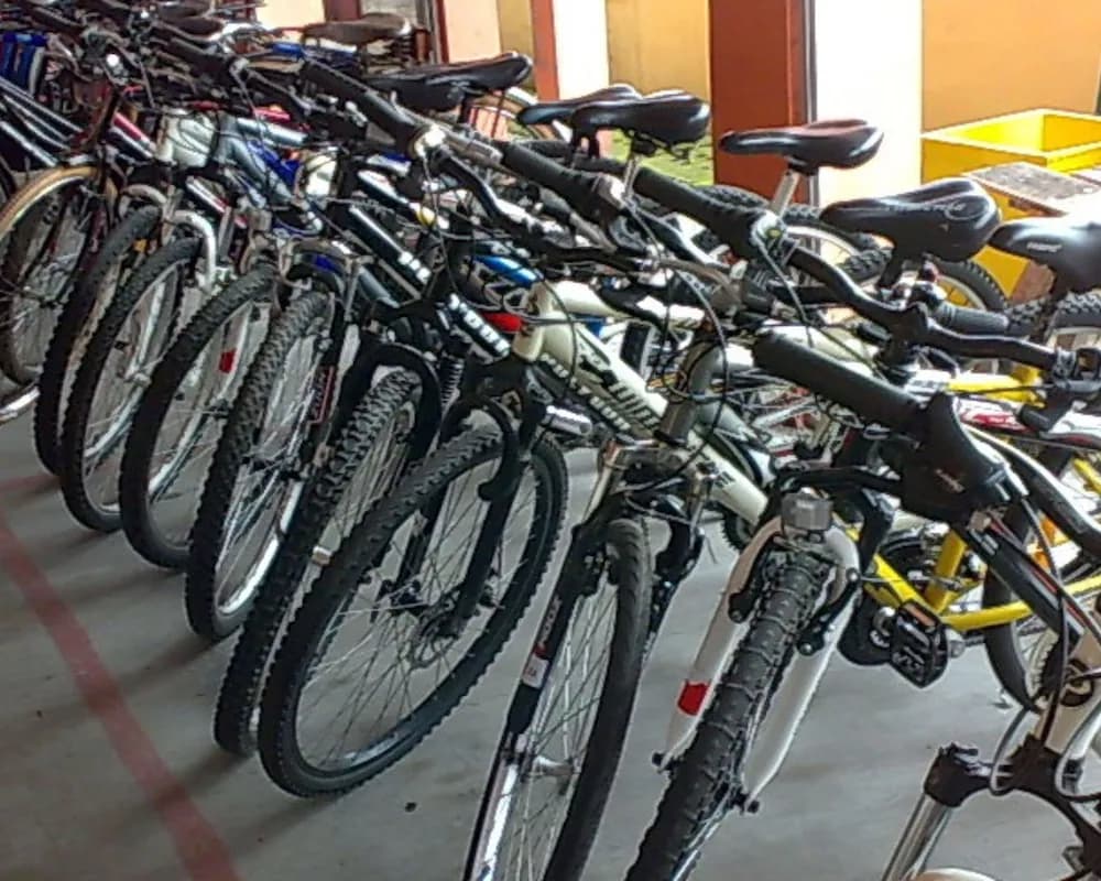 Bicycling