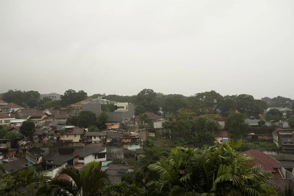 View from room