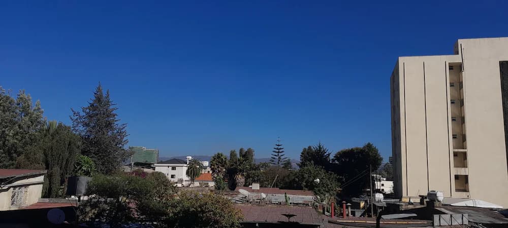 View from room