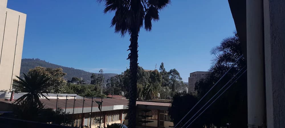View from room