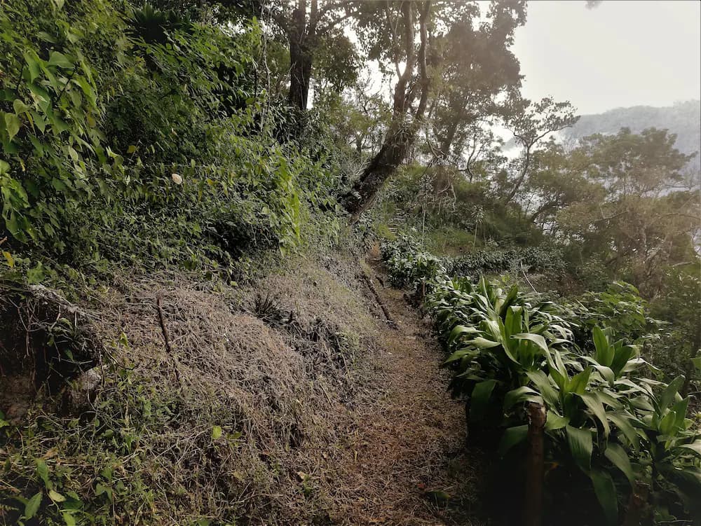 Hiking