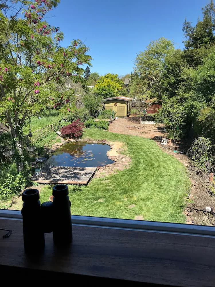 View from room