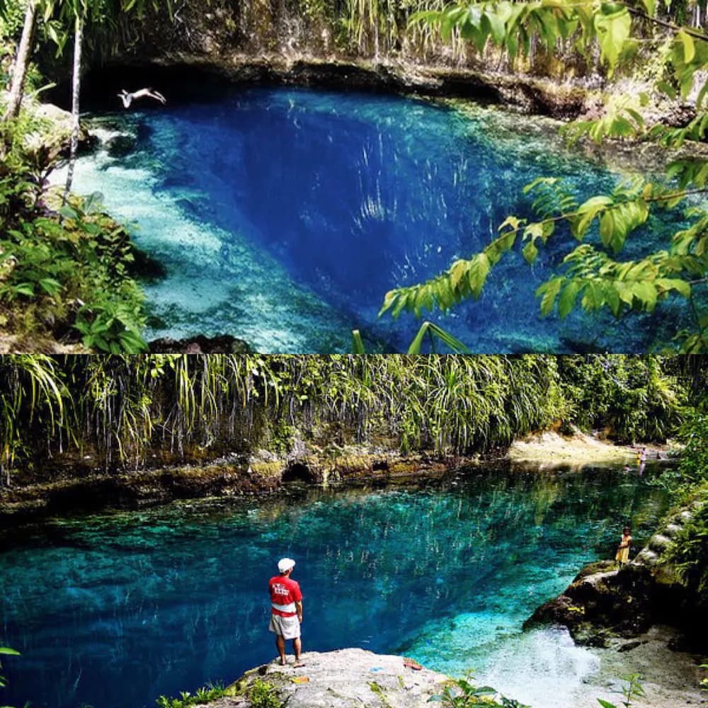 Ecotours