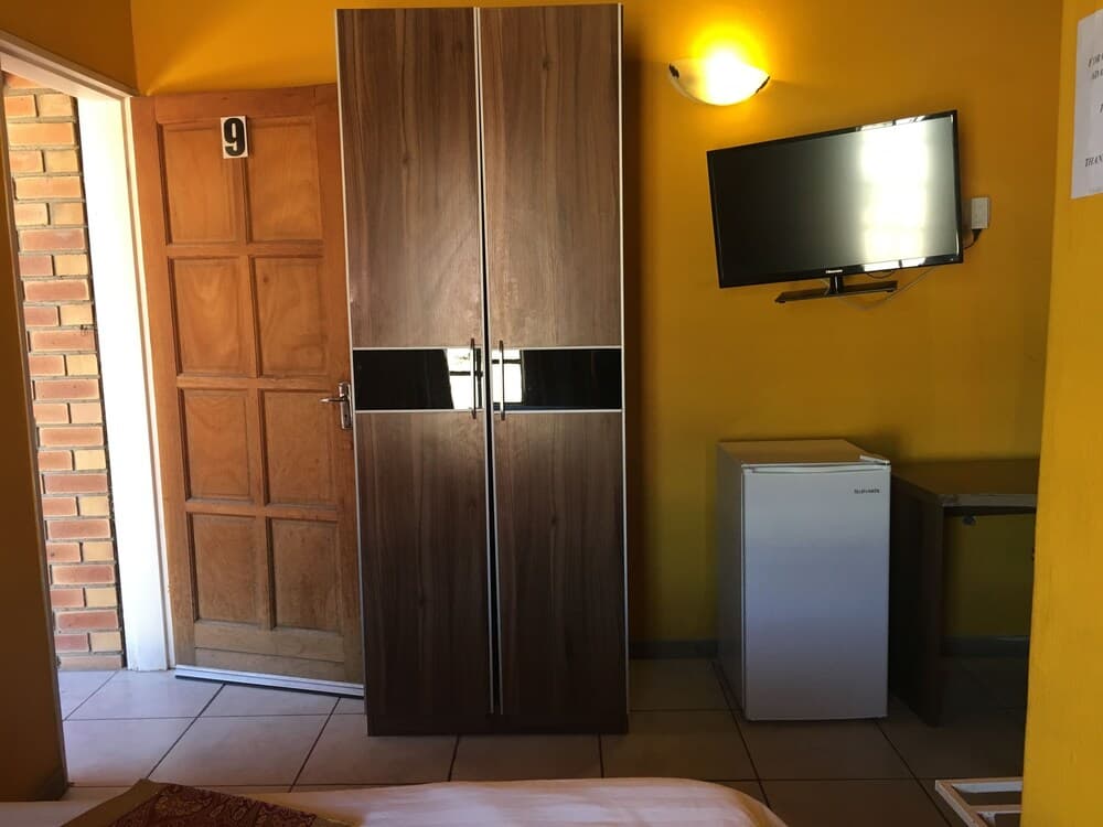 Television
