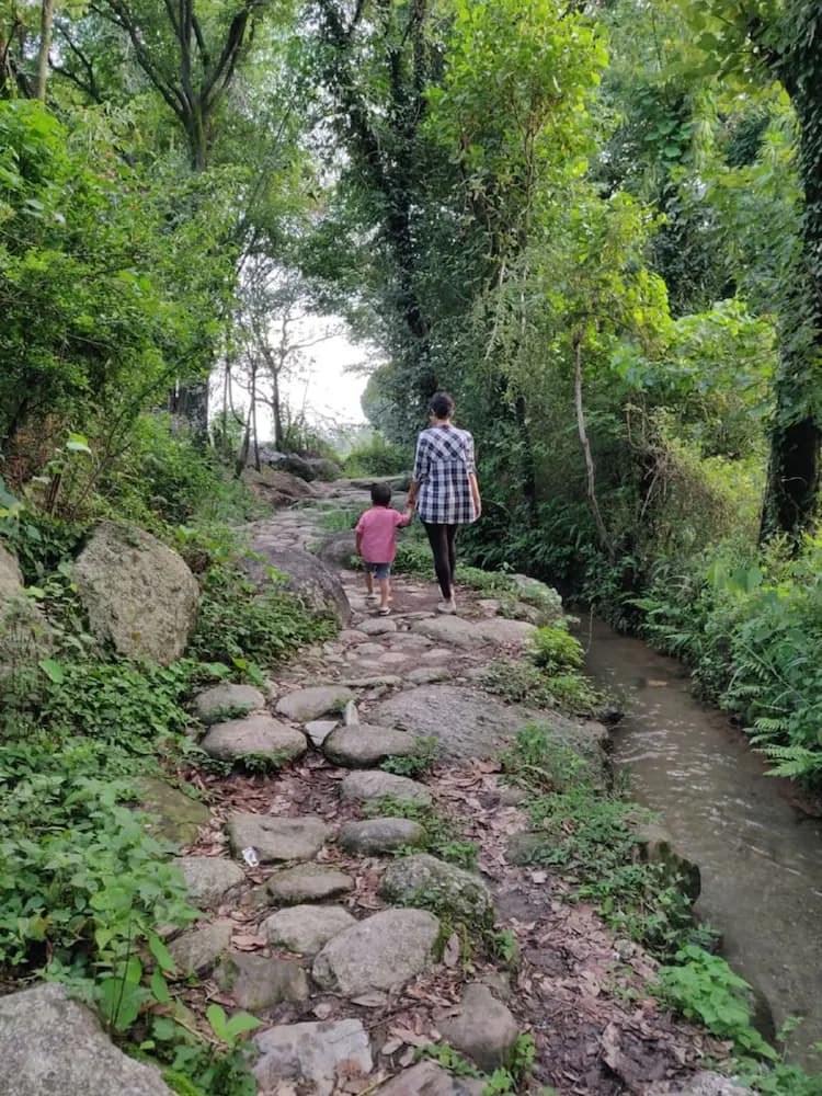 Hiking