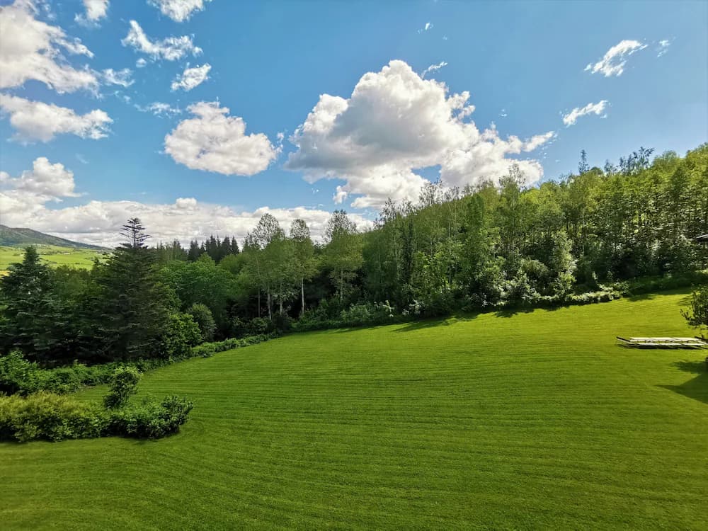 View from property
