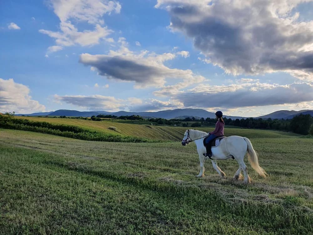 Horseback riding