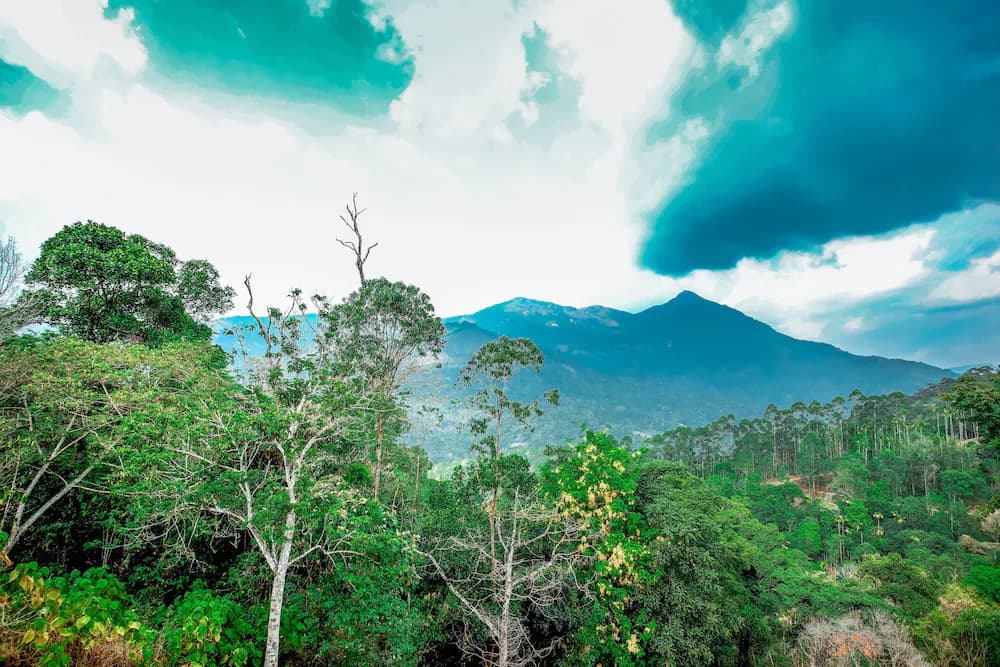 View from property