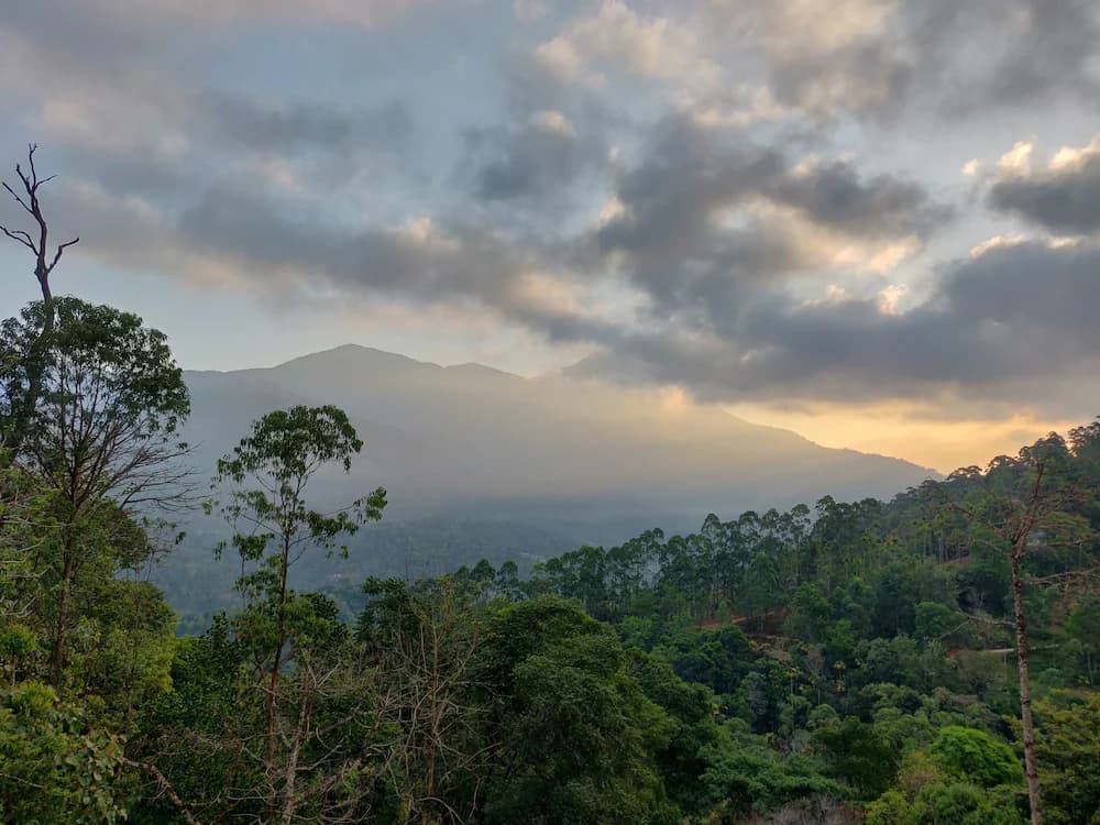 View from property