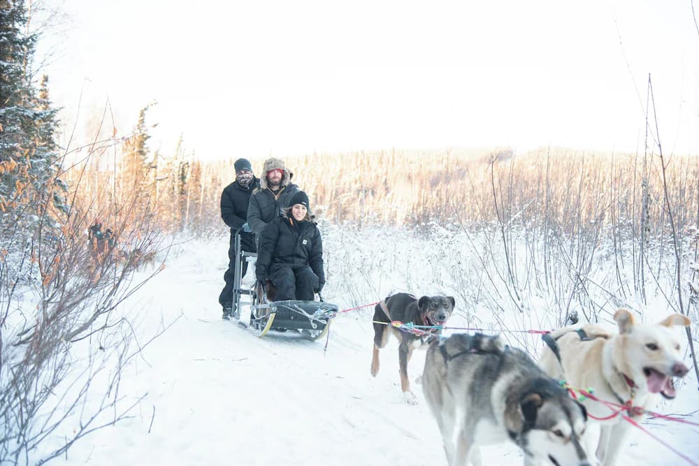 Sledding