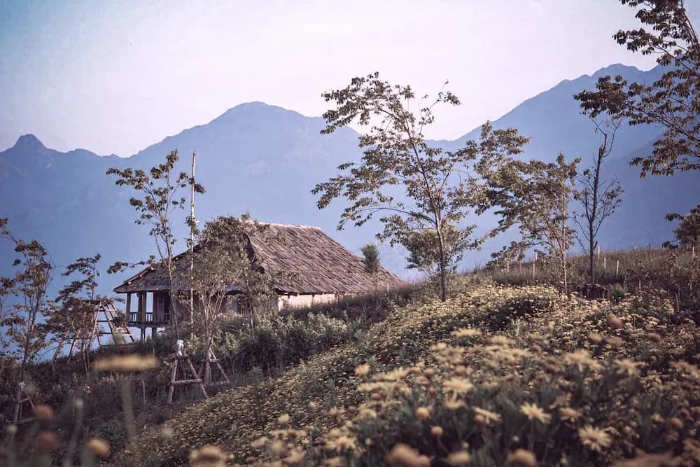 Mountain view