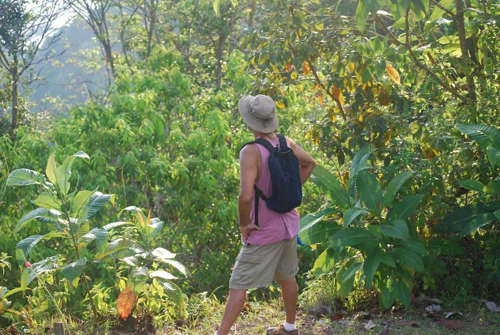 Hiking