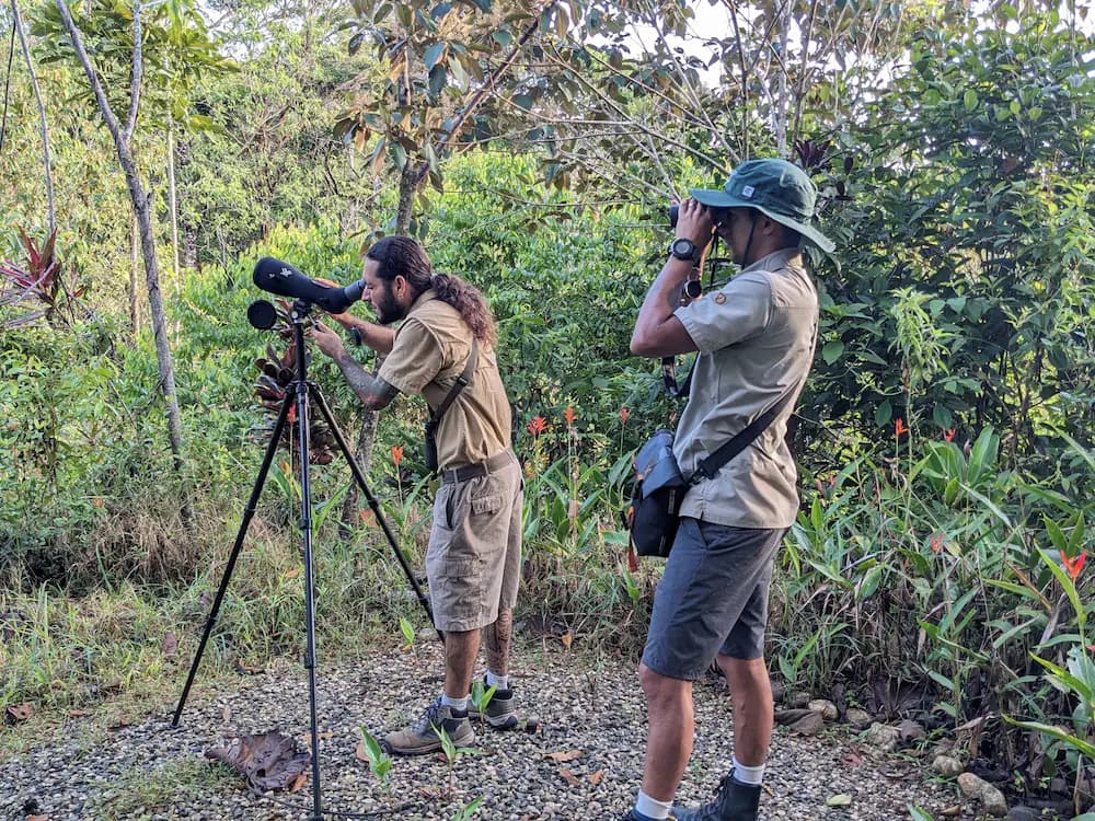 Game viewing