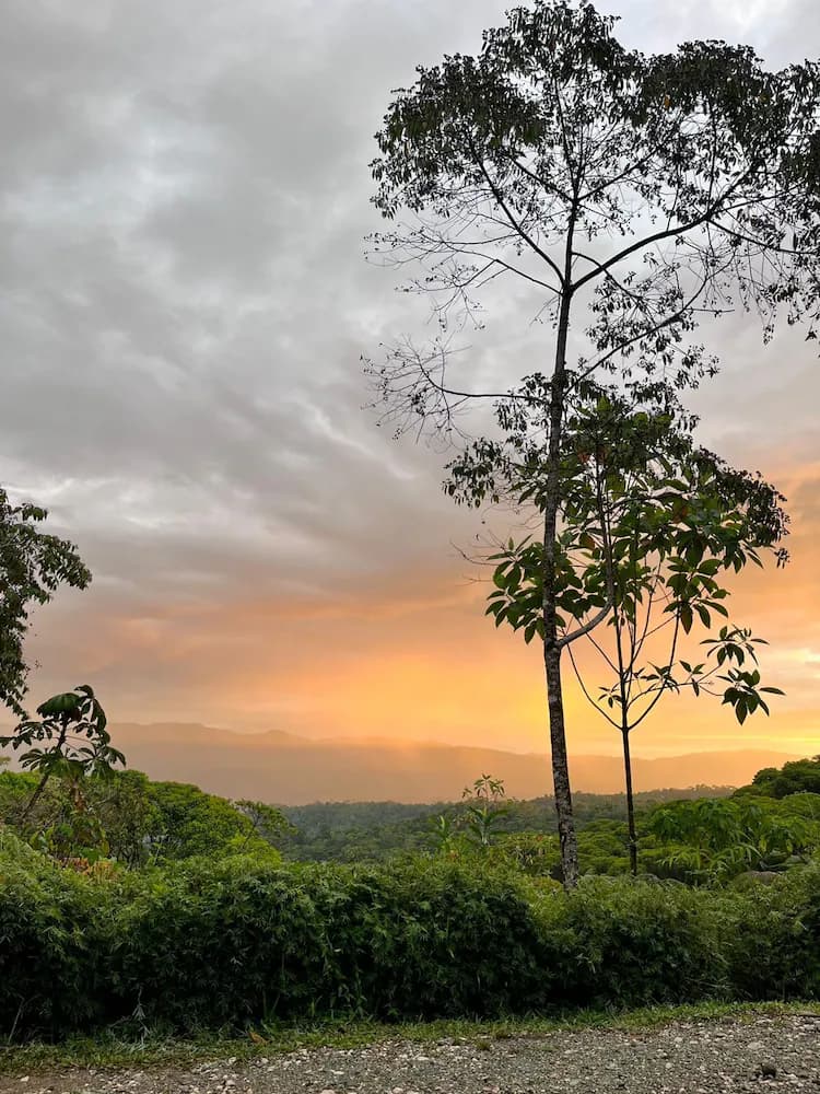 Land view from property