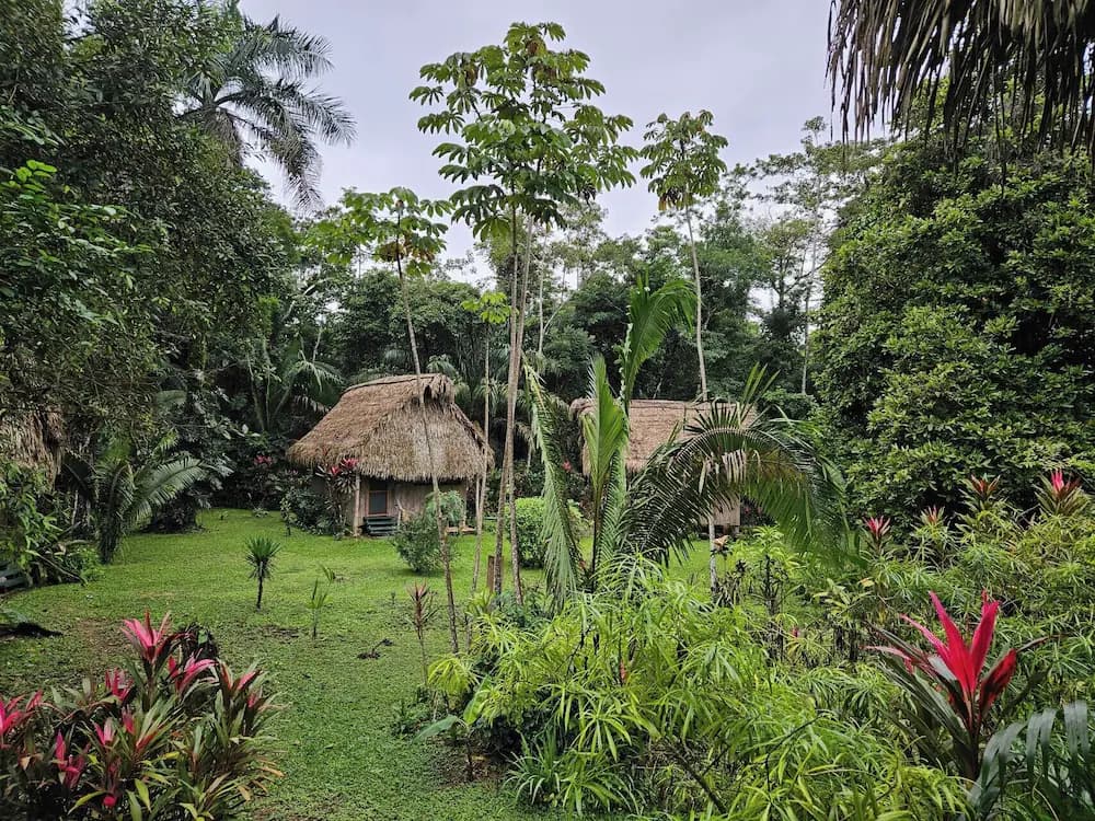 Land view from property
