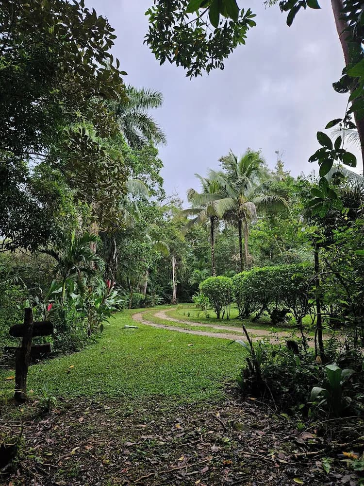 Land view from property