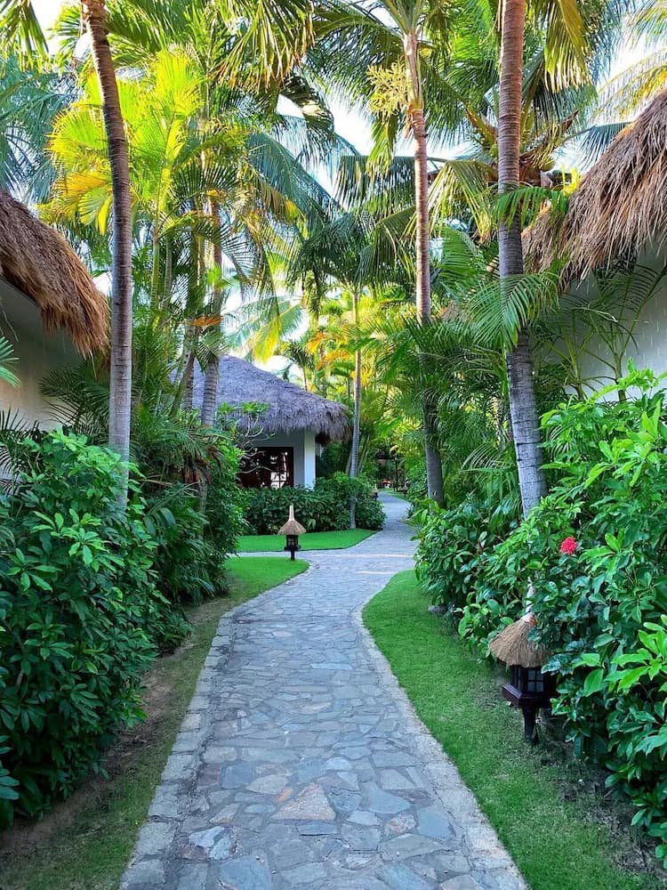Garden view
