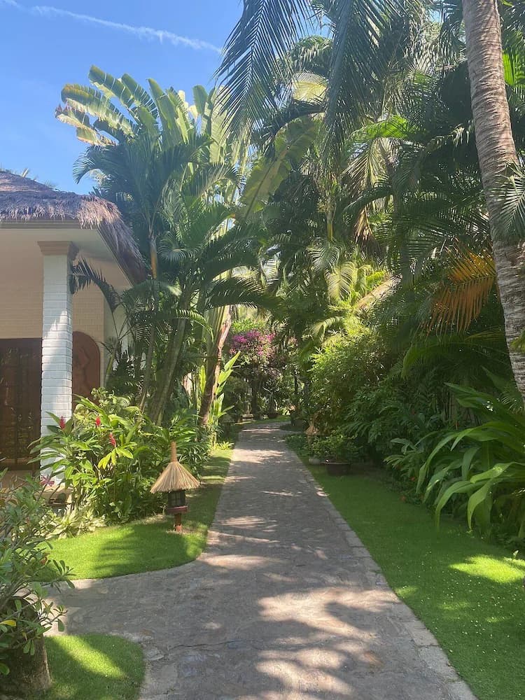 Garden view