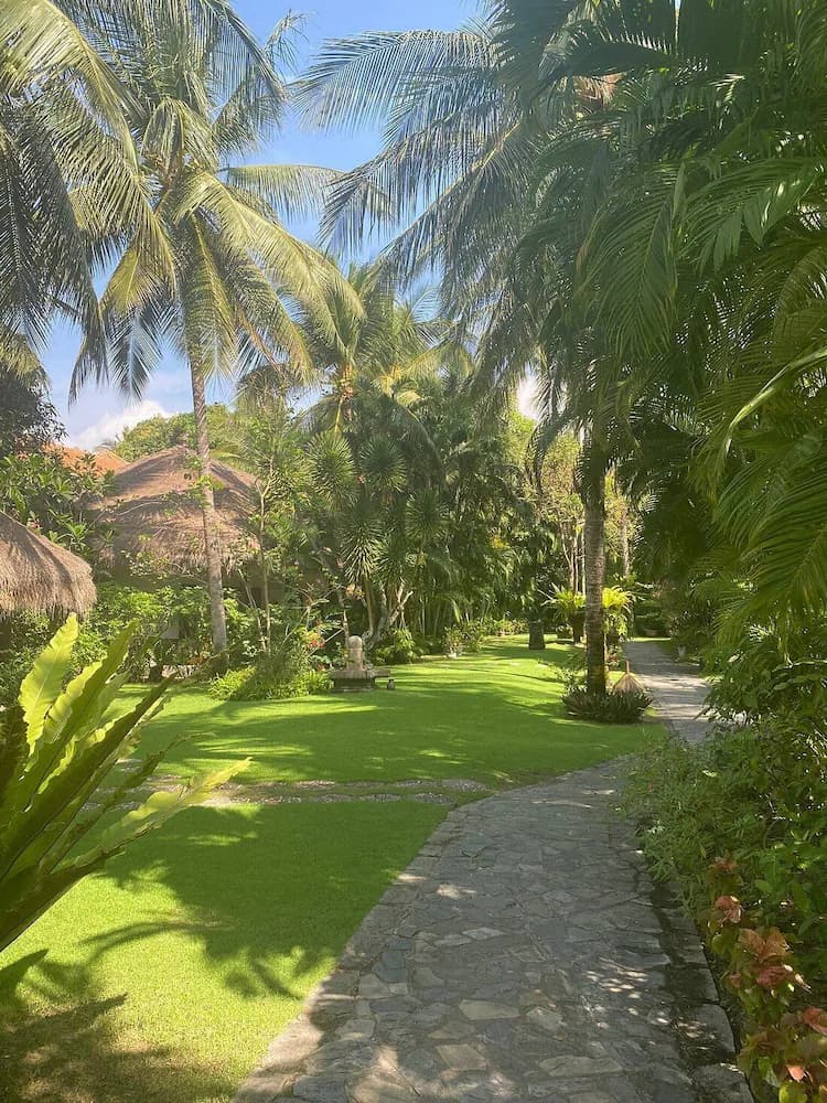 Courtyard view