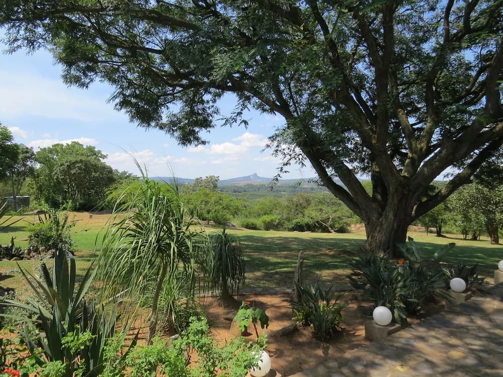 View from room