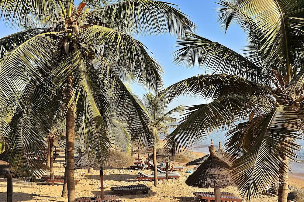 Beach