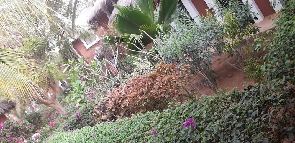 Garden view
