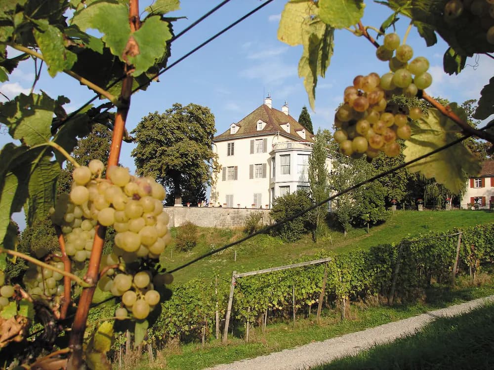 Winery