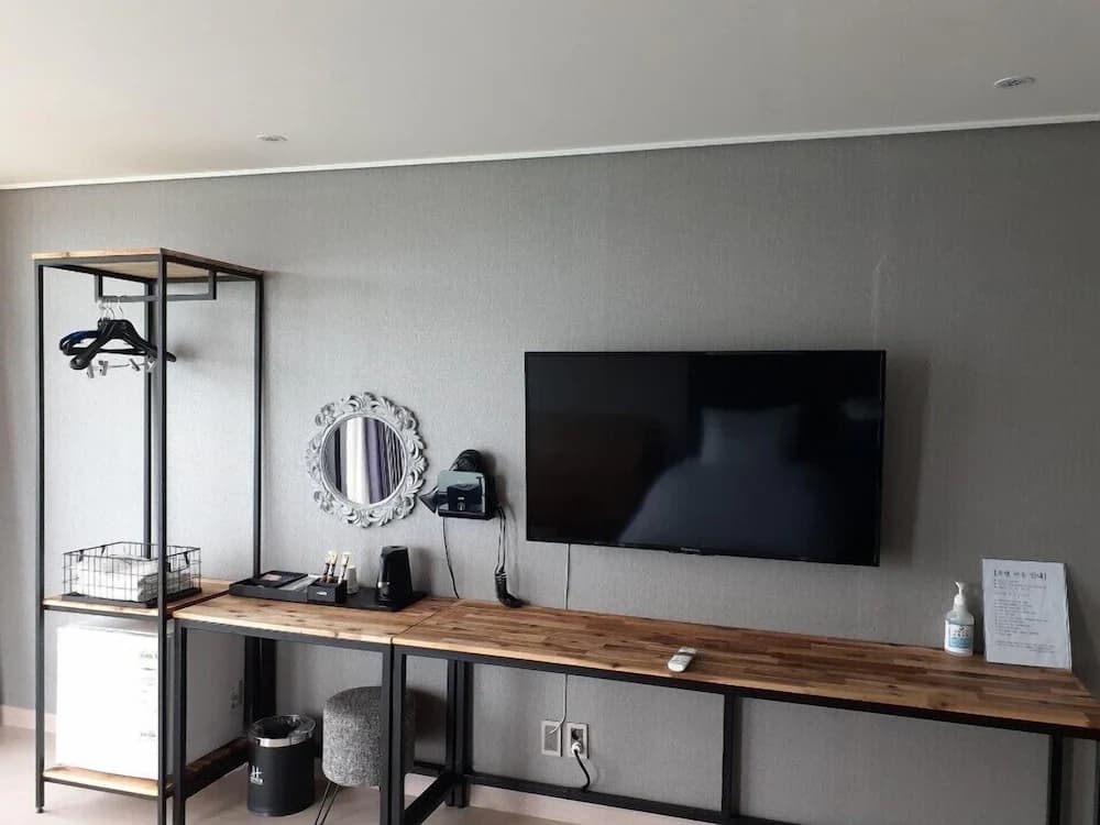 Television