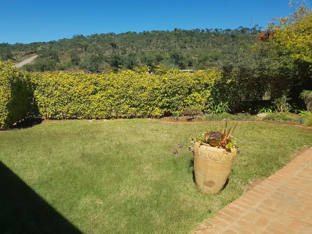 Garden view