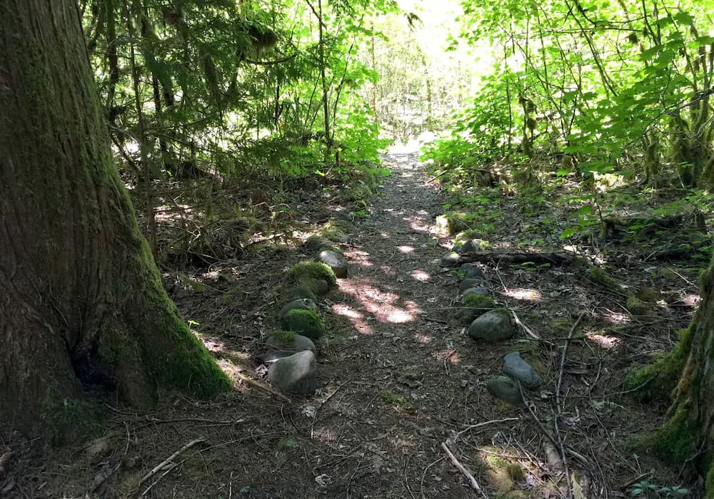 Hiking