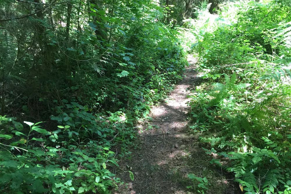 Hiking