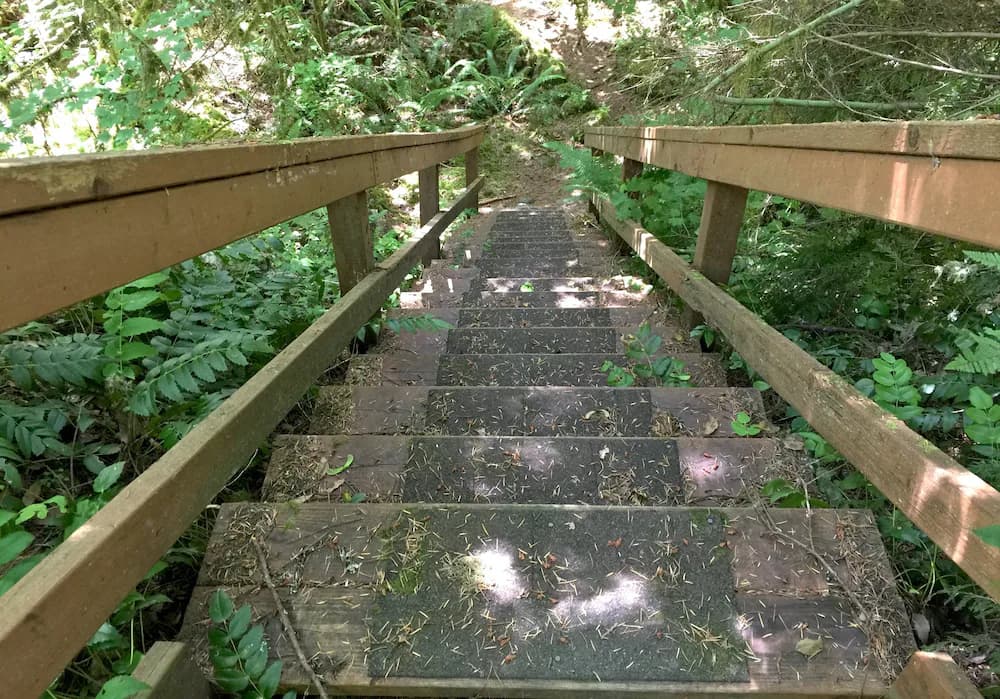 Hiking