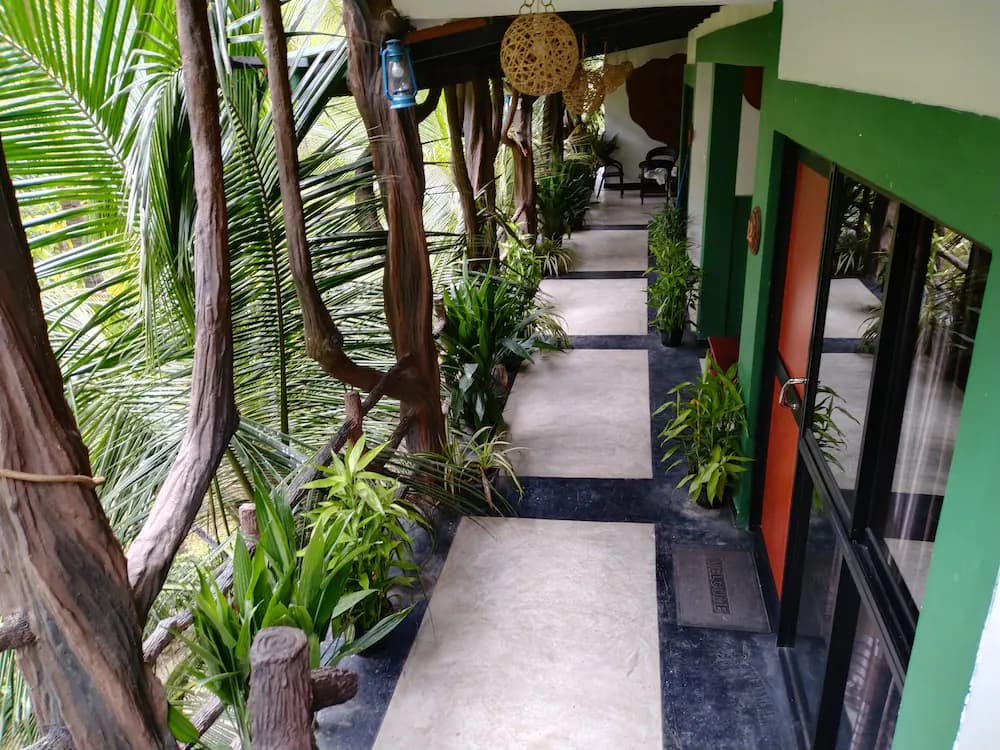 Garden view