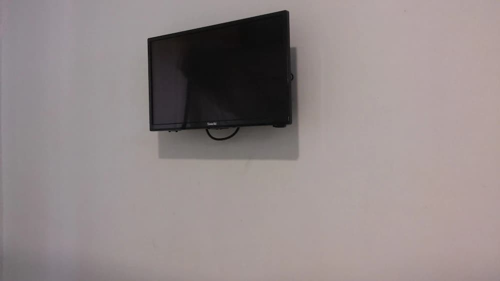 Television